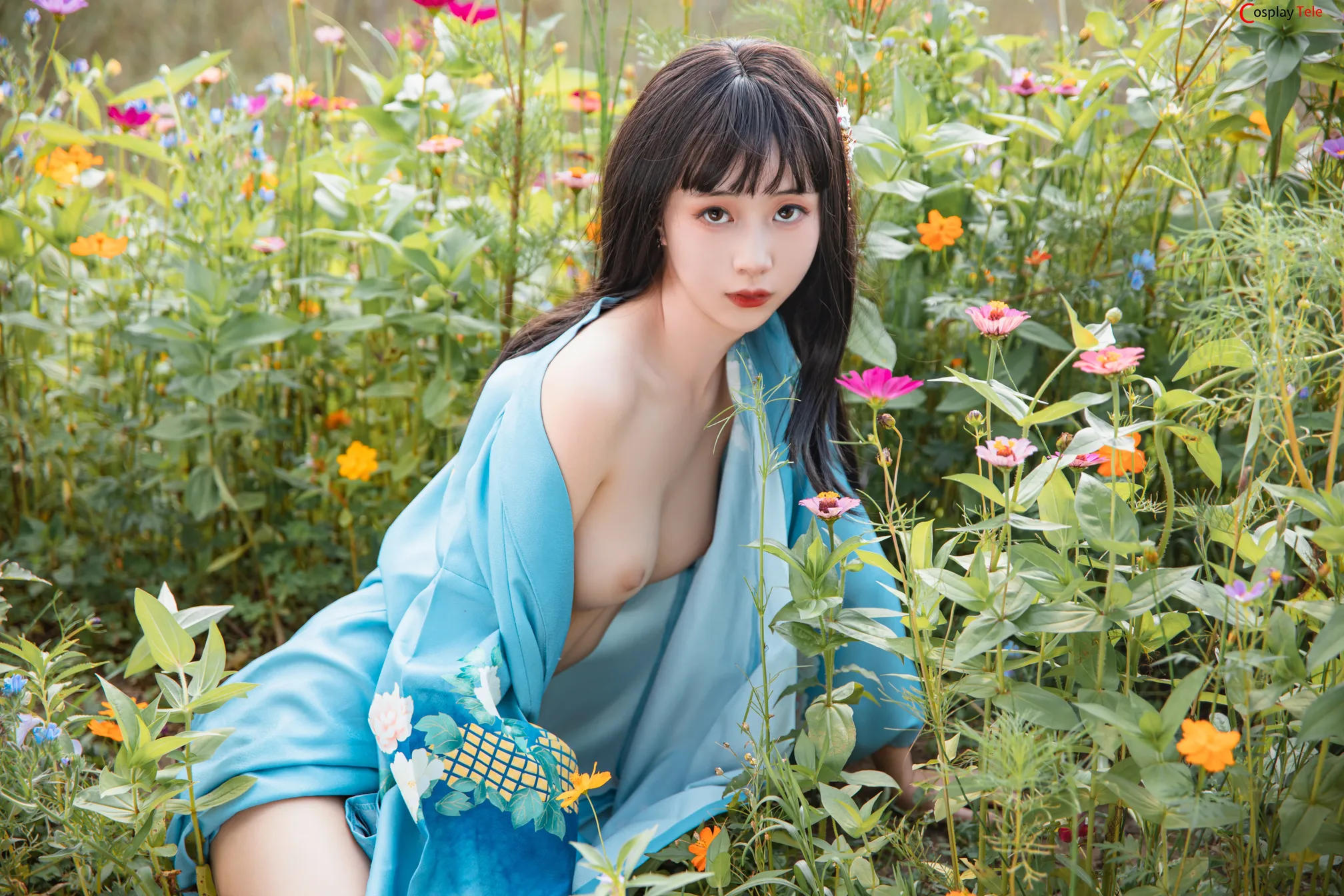 金鱼kinngyo – Summer limited “43 photos” 第28张图