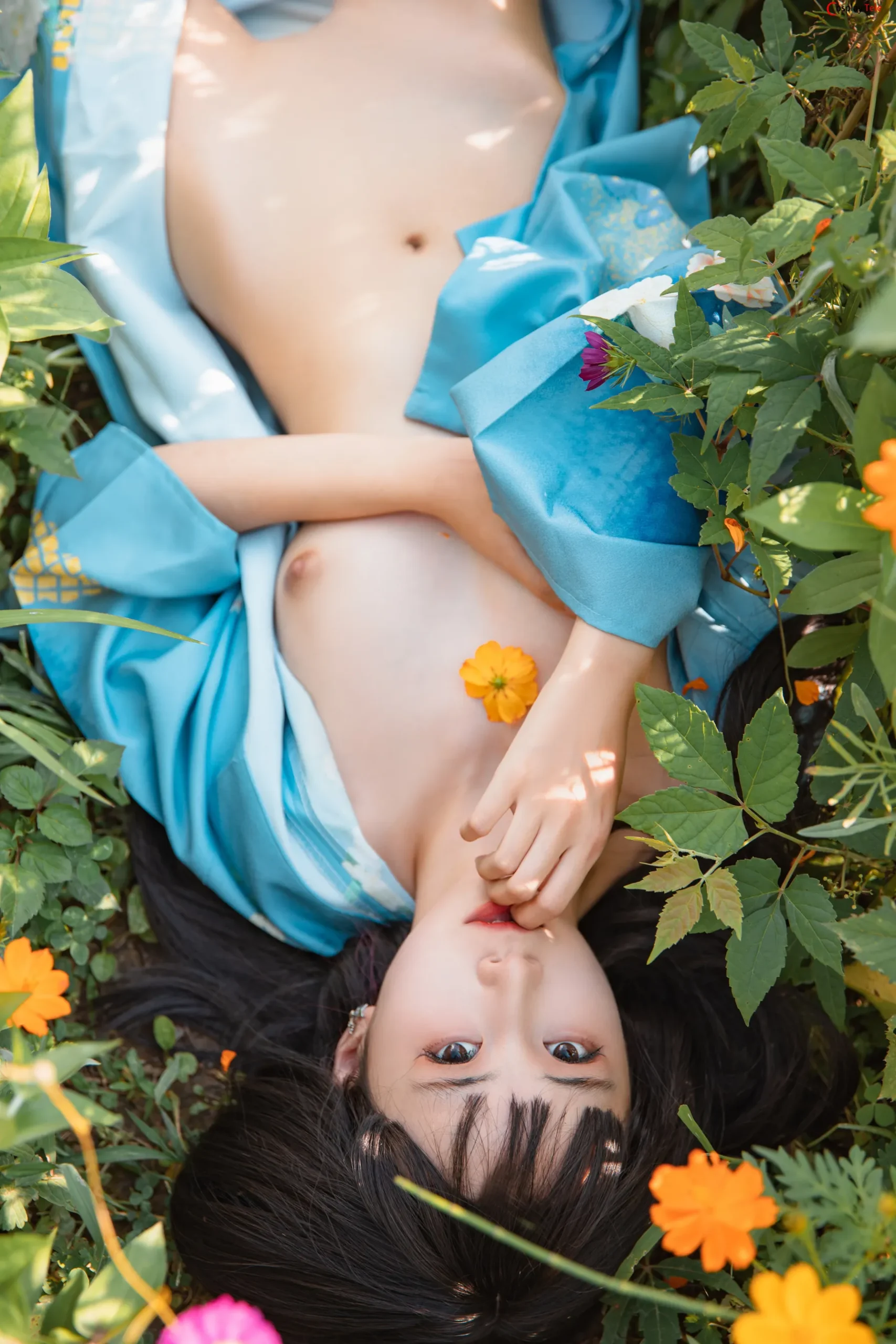 金鱼kinngyo – Summer limited “43 photos” 第37张图