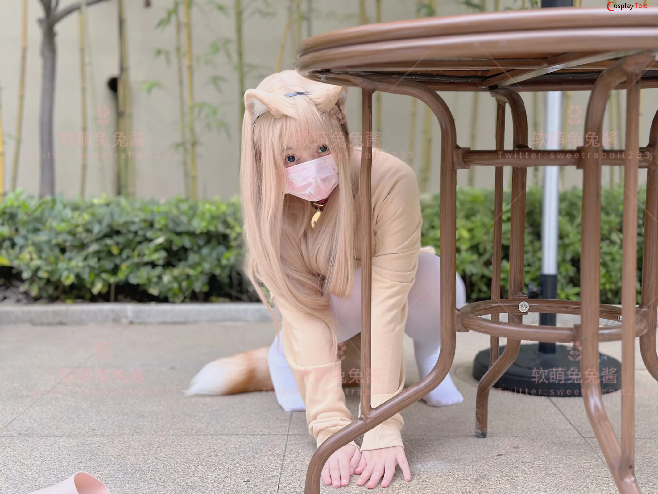软萌兔兔酱 (SweetRabbit233) – Cat “76 photos and 1 videos” 第4张图